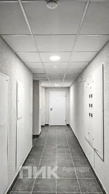 Студия, 20м², 32900 ₽/мес — фото № 5 Студия, 20м², 32900 ₽/мес — фото № 5