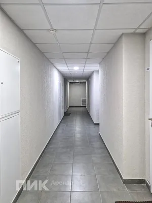 Студия, 21м², 59500 ₽/мес — фото № 10 Студия, 21м², 59500 ₽/мес — фото № 10