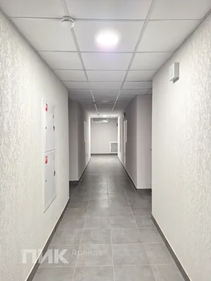 Студия, 20м², 30000 ₽/мес — фото № 8 Студия, 20м², 30000 ₽/мес — фото № 8