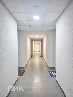 Студия, 21м², 47000 ₽/мес — фото № 8 Студия, 21м², 47000 ₽/мес — фото № 8