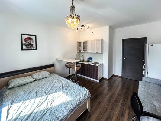 Студия, 29м², 47800 ₽/мес — фото № 1 Студия, 29м², 47800 ₽/мес — фото № 1