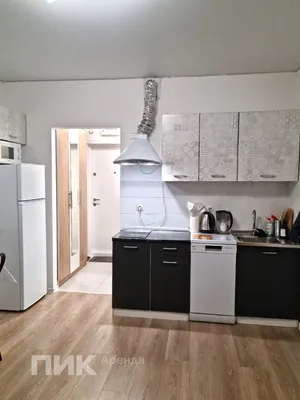 Студия, 20м², 40000 ₽/мес — фото № 1 Студия, 20м², 40000 ₽/мес — фото № 1