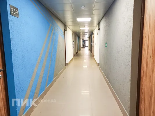 Студия, 27.4м², 37000 ₽/мес — фото № 8 Студия, 27.4м², 37000 ₽/мес — фото № 8