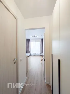 Студия, 19.5м², 42800 ₽/мес — фото № 7 Студия, 19.5м², 42800 ₽/мес — фото № 7