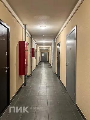 Студия, 20.5м², 36000 ₽/мес — фото № 8 Студия, 20.5м², 36000 ₽/мес — фото № 8