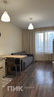 1-к квартира, 23.7м², 29900 ₽/мес — фото № 2 1-к квартира, 23.7м², 29900 ₽/мес — фото № 2