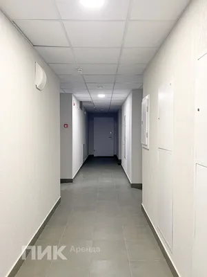 Студия, 20м², 46000 ₽/мес — фото № 9 Студия, 20м², 46000 ₽/мес — фото № 9