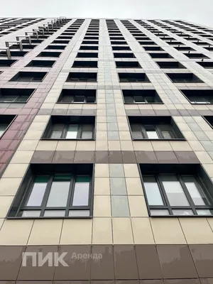 Студия, 22.3м², 43300 ₽/мес — фото № 9 Студия, 22.3м², 43300 ₽/мес — фото № 9