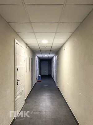 Студия, 19.9м², 41000 ₽/мес — фото № 10 Студия, 19.9м², 41000 ₽/мес — фото № 10