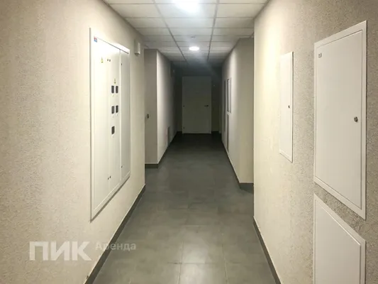 Студия, 27.3м², 38700 ₽/мес — фото № 9 Студия, 27.3м², 38700 ₽/мес — фото № 9