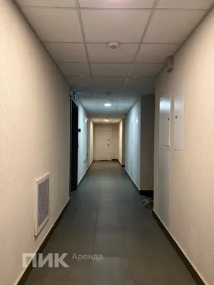 Студия, 19.9м², 35000 ₽/мес — фото № 10 Студия, 19.9м², 35000 ₽/мес — фото № 10