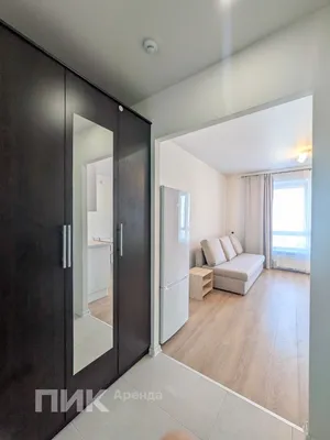 Студия, 23.2м², 37900 ₽/мес — фото № 6 Студия, 23.2м², 37900 ₽/мес — фото № 6