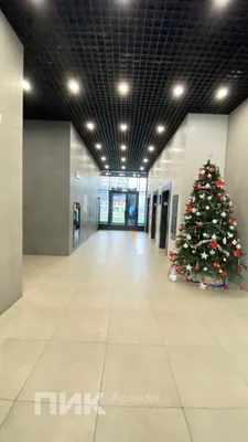 Студия, 24.8м², 60000 ₽/мес — фото № 10 Студия, 24.8м², 60000 ₽/мес — фото № 10