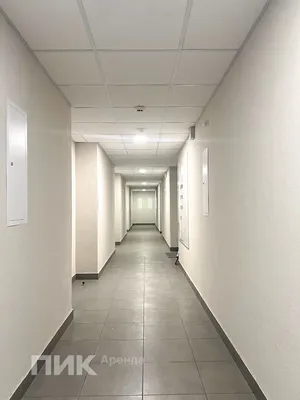Студия, 23.5м², 51900 ₽/мес — фото № 10 Студия, 23.5м², 51900 ₽/мес — фото № 10