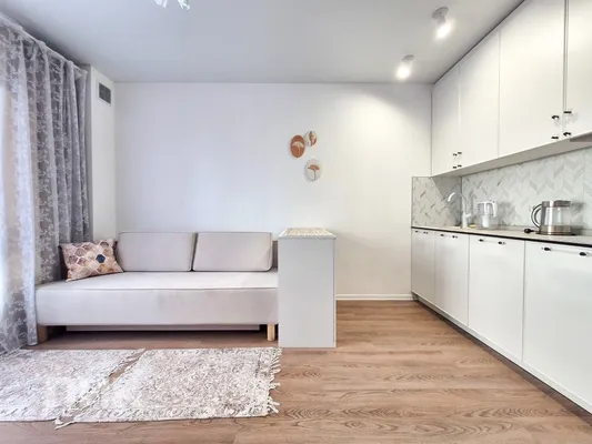Студия, 20м², 54800 ₽/мес — фото № 4 Студия, 20м², 54800 ₽/мес — фото № 4