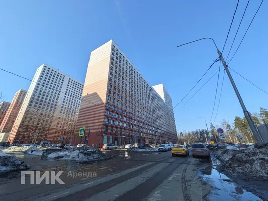 Студия, 19.6м², 32000 ₽/мес — фото № 10 Студия, 19.6м², 32000 ₽/мес — фото № 10