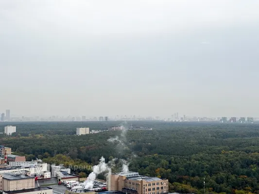Студия, 20м², 50600 ₽/мес — фото № 9 Студия, 20м², 50600 ₽/мес — фото № 9