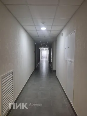 Студия, 26.7м², 58000 ₽/мес — фото № 10 Студия, 26.7м², 58000 ₽/мес — фото № 10