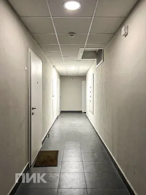 Студия, 23.9м², 52000 ₽/мес — фото № 10 Студия, 23.9м², 52000 ₽/мес — фото № 10