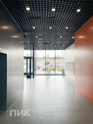 Студия, 23.5м², 37300 ₽/мес — фото № 5 Студия, 23.5м², 37300 ₽/мес — фото № 5