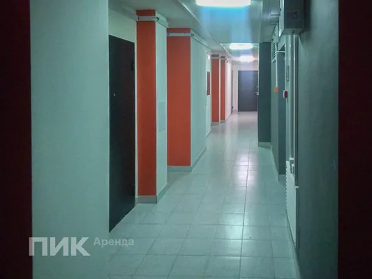 2-к квартира, 31.2м², 30800 ₽/мес — фото № 10 2-к квартира, 31.2м², 30800 ₽/мес — фото № 10