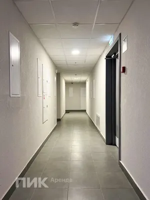 1-к квартира, 36м², 53800 ₽/мес — фото № 9 1-к квартира, 36м², 53800 ₽/мес — фото № 9