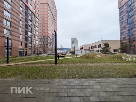 Студия, 21.1м², 49400 ₽/мес — фото № 10 Студия, 21.1м², 49400 ₽/мес — фото № 10