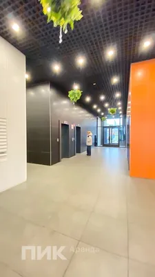 Студия, 20м², 56200 ₽/мес — фото № 8 Студия, 20м², 56200 ₽/мес — фото № 8