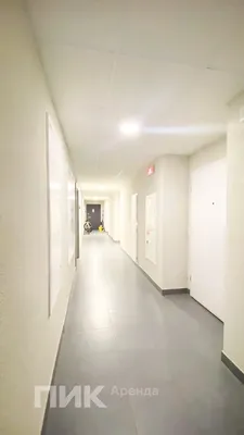 Студия, 20м², 56200 ₽/мес — фото № 7 Студия, 20м², 56200 ₽/мес — фото № 7