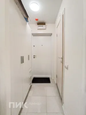 1-к квартира, 19.5м², 41000 ₽/мес — фото № 9 1-к квартира, 19.5м², 41000 ₽/мес — фото № 9