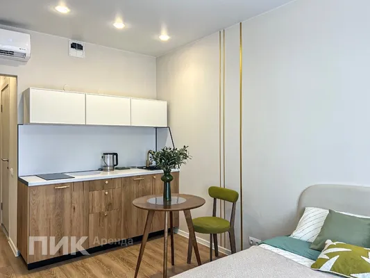 Студия, 20м², 45000 ₽/мес — фото № 4 Студия, 20м², 45000 ₽/мес — фото № 4
