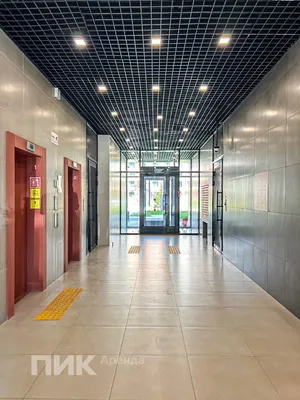 Студия, 20м², 45000 ₽/мес — фото № 8 Студия, 20м², 45000 ₽/мес — фото № 8