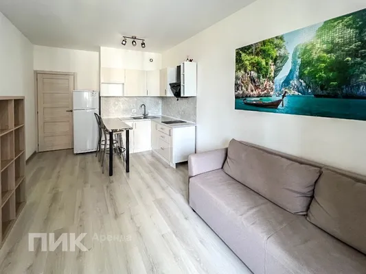 Студия, 24.8м², 33000 ₽/мес — фото № 3 Студия, 24.8м², 33000 ₽/мес — фото № 3