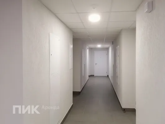 Студия, 25м², 35100 ₽/мес — фото № 10 Студия, 25м², 35100 ₽/мес — фото № 10
