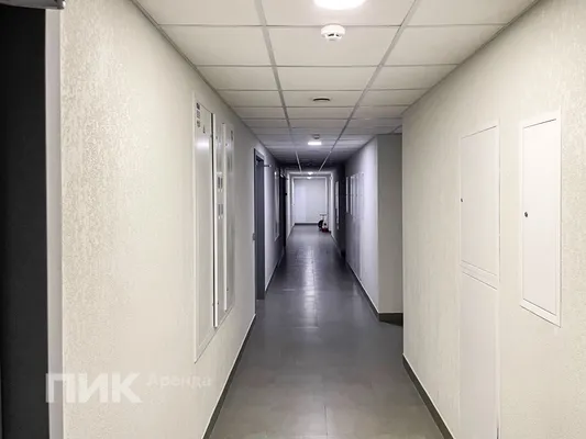 1-к квартира, 31м², 38400 ₽/мес — фото № 9 1-к квартира, 31м², 38400 ₽/мес — фото № 9