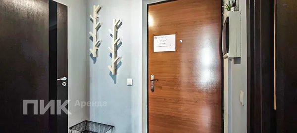 1-к квартира, 33м², 43900 ₽/мес — фото № 9 1-к квартира, 33м², 43900 ₽/мес — фото № 9