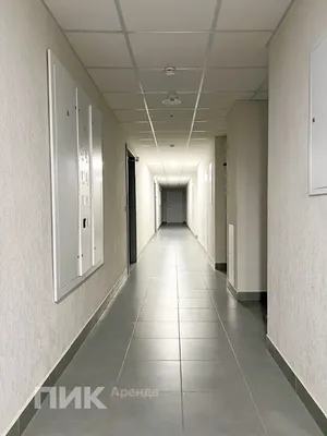Студия, 25.3м², 50500 ₽/мес — фото № 10 Студия, 25.3м², 50500 ₽/мес — фото № 10