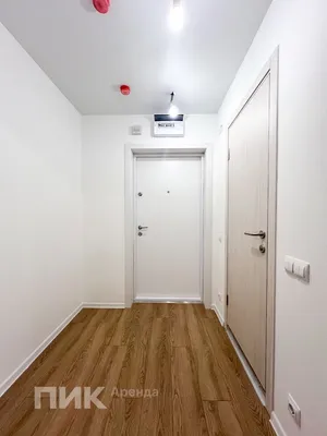 Студия, 21.5м², 40000 ₽/мес — фото № 4 Студия, 21.5м², 40000 ₽/мес — фото № 4