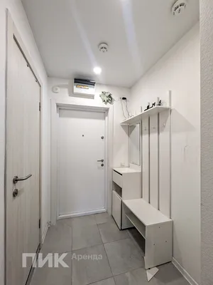 1-к квартира, 19.6м², 32900 ₽/мес — фото № 7 1-к квартира, 19.6м², 32900 ₽/мес — фото № 7