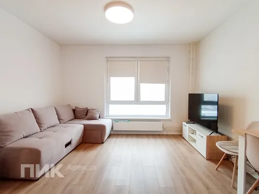 1-к квартира, 23.6м², 59000 ₽/мес — фото № 2 1-к квартира, 23.6м², 59000 ₽/мес — фото № 2