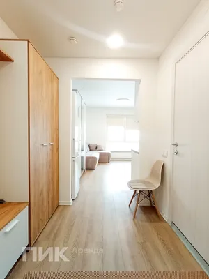 1-к квартира, 23.6м², 59000 ₽/мес — фото № 7 1-к квартира, 23.6м², 59000 ₽/мес — фото № 7