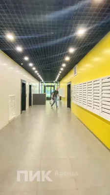 Студия, 22.6м², 45700 ₽/мес — фото № 10 Студия, 22.6м², 45700 ₽/мес — фото № 10